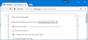 Delete the browser's history and cache